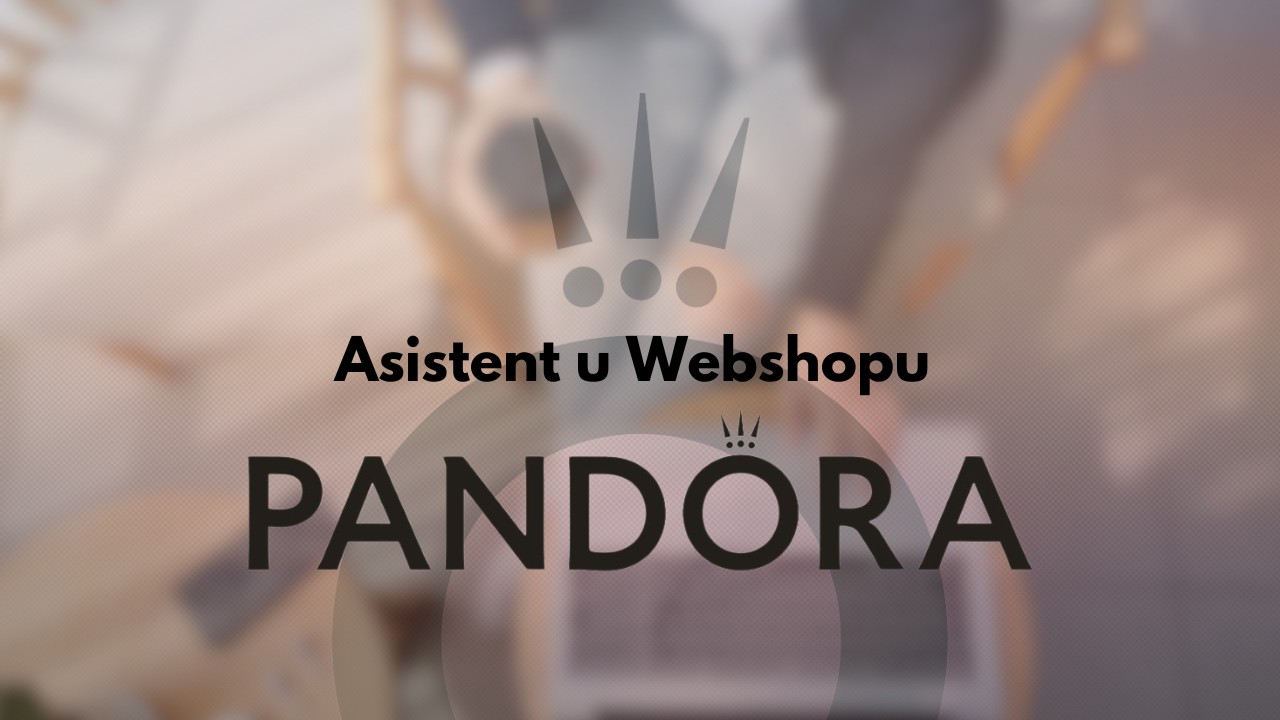 Asistent u Webshopu (M/F)
